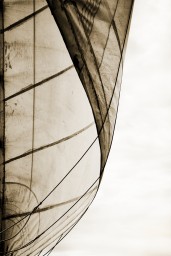 sailing-7.jpg