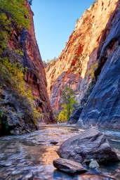 zion-3.jpg