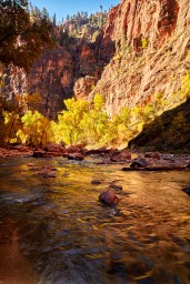 zion-5.jpg